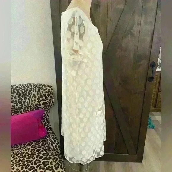En Focus Size 16W Ivory Polka dot Dress - Picture 3 of 8